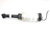Front shock absorber/damper