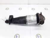 Rear shock absorber/damper