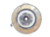 Rear wheel hub spindle/knuckle