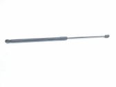 Tailgate/trunk strut/damper
