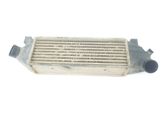 Intercooler radiator