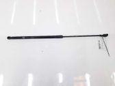 Front bonnet/hood damper/strut