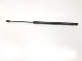 Tailgate/trunk strut/damper