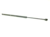 Tailgate/trunk strut/damper