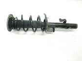 Front shock absorber/damper