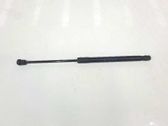 Tailgate/trunk strut/damper