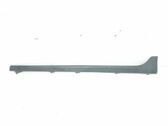 Sill/side skirt trim