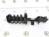 Front shock absorber/damper