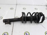 Front shock absorber/damper