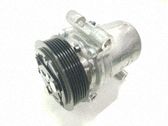 Klimakompressor Pumpe