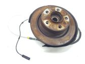 Rear wheel hub spindle/knuckle