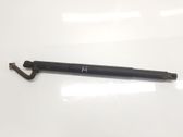 Tailgate/trunk strut/damper