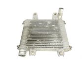 Radiador intercooler