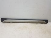 Sill/side skirt trim