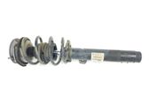 Front shock absorber/damper