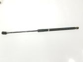 Front bonnet/hood damper/strut