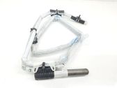 Roof airbag
