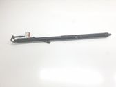 Tailgate/trunk strut/damper