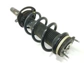 Front shock absorber/damper