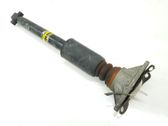 Stoßdämpfer hinten