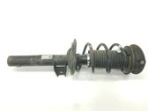 Front shock absorber/damper