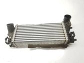 Radiador intercooler