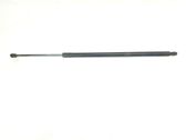 Tailgate/trunk strut/damper