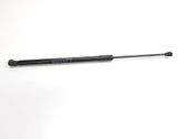 Tailgate/trunk strut/damper