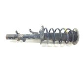 Front shock absorber/damper