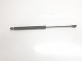 Tailgate/trunk strut/damper