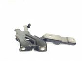 Engine bonnet/hood hinges