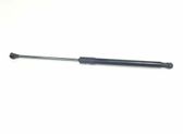 Tailgate/trunk strut/damper