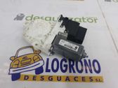 Rear door window regulator motor