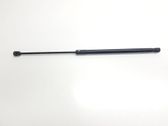 Tailgate/trunk strut/damper