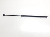 Tailgate/trunk strut/damper