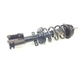 Front shock absorber/damper