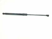Tailgate/trunk strut/damper
