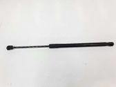 Tailgate/trunk strut/damper