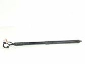 Tailgate/trunk strut/damper
