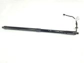 Tailgate/trunk strut/damper