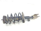 Front shock absorber/damper