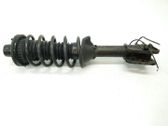 Rear shock absorber/damper