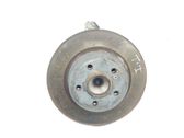 Rear wheel hub spindle/knuckle