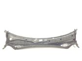 Wiper trim