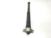 Rear shock absorber/damper
