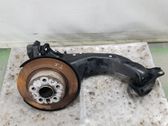 Rear wheel hub spindle/knuckle