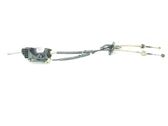 Selector caja de cambios