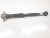 Stoßdämpfer hinten