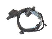 Front door wiring loom