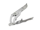 Tailgate/trunk/boot hinge